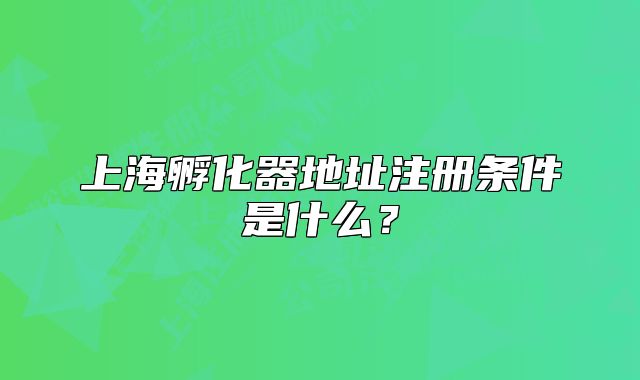 上海孵化器地址注冊條件是什么？