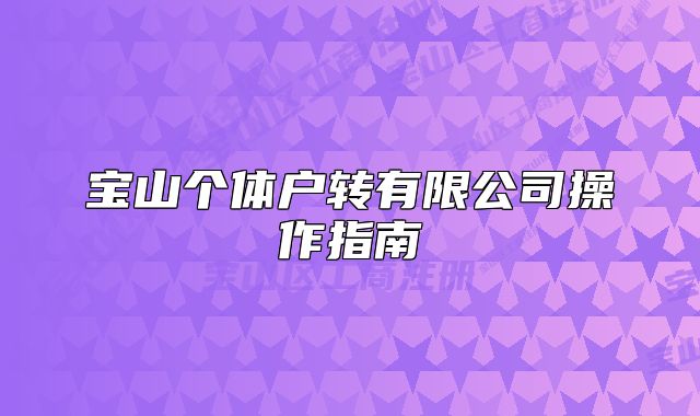 寶山個體戶轉有限公司操作指南
