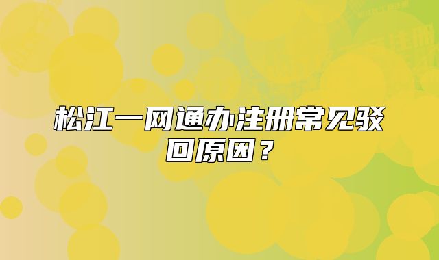 松江一網(wǎng)通辦注冊(cè)常見駁回原因？