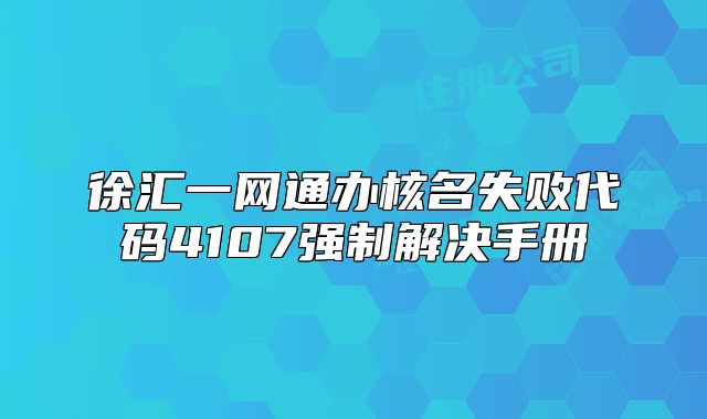 徐匯一網(wǎng)通辦核名失敗代碼4107強制解決手冊