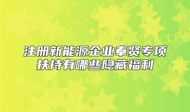 注冊(cè)新能源企業(yè)奉賢專項(xiàng)扶持有哪些隱藏福利