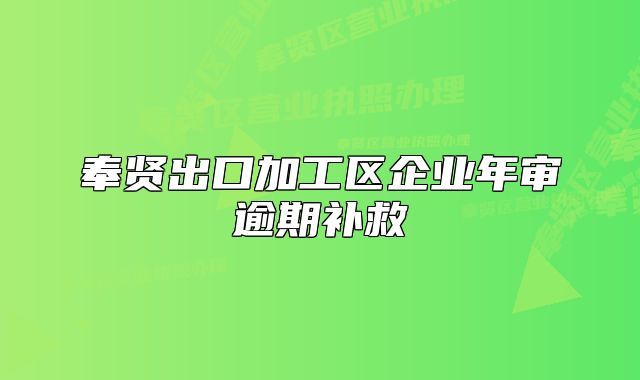 奉賢出口加工區(qū)企業(yè)年審逾期補(bǔ)救