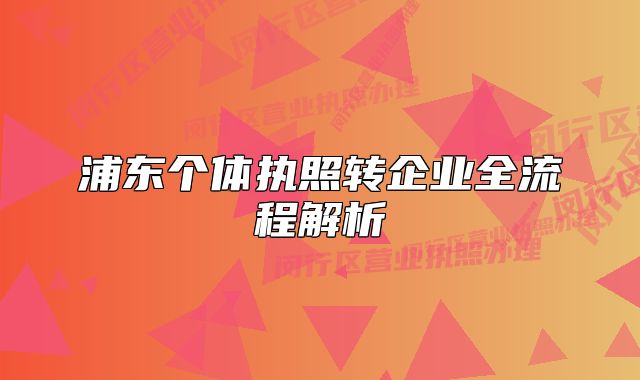 浦東個體執(zhí)照轉(zhuǎn)企業(yè)全流程解析