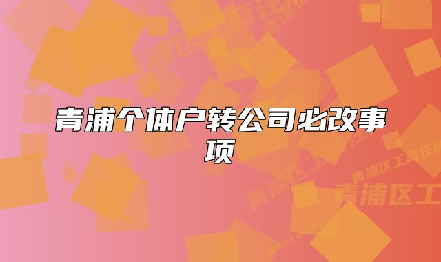 青浦個體戶轉(zhuǎn)公司必改事項