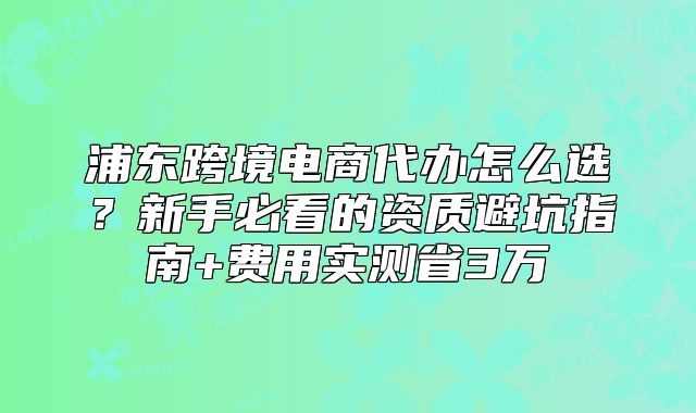 浦東跨境電商代辦怎么選？新手必看的資質(zhì)避坑指南