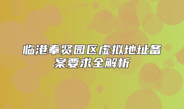 臨港奉賢園區(qū)虛擬地址備案要求全解析