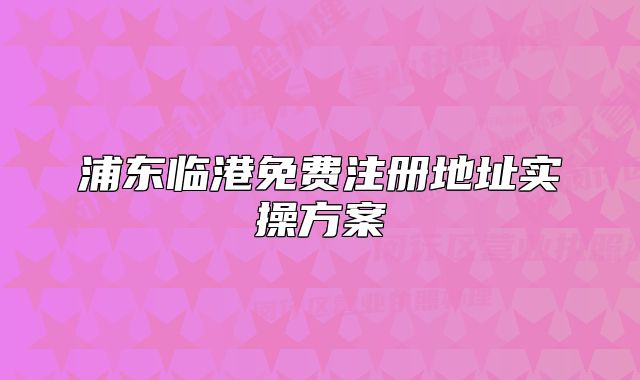浦東臨港免費(fèi)注冊(cè)地址實(shí)操方案