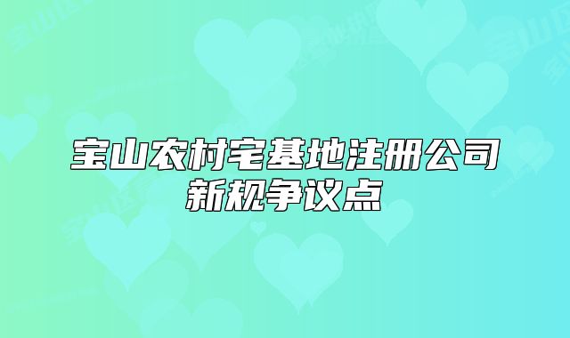 寶山農(nóng)村宅基地注冊公司新規(guī)爭議點