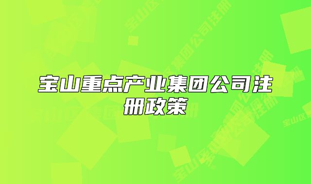 寶山重點產(chǎn)業(yè)集團公司注冊政策