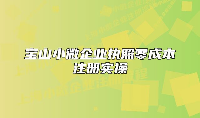 寶山小微企業(yè)執(zhí)照零成本注冊實操
