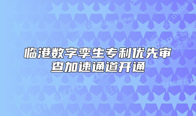 臨港數(shù)字孿生專利優(yōu)先審查加速通道開通