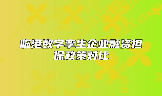 臨港數(shù)字孿生企業(yè)融資擔(dān)保政策對(duì)比