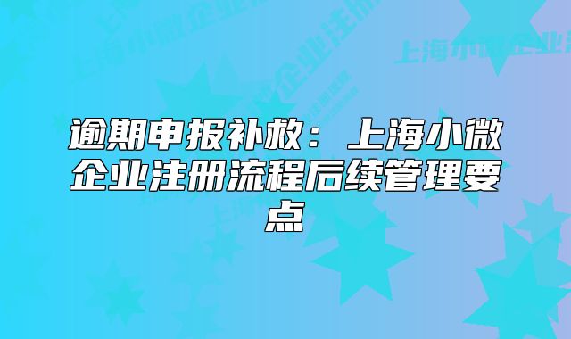 逾期申報補救：上海小微企業(yè)注冊流程后續(xù)管理要點