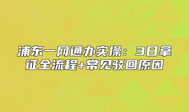 浦東一網(wǎng)通辦實(shí)操：3日拿證全流程+常見(jiàn)駁回原因