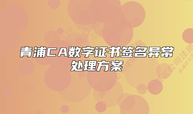 青浦CA數(shù)字證書簽名異常處理方案