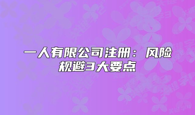 一人有限公司注冊：風(fēng)險(xiǎn)規(guī)避3大要點(diǎn)