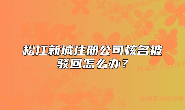 松江新城注冊(cè)公司核名被駁回怎么辦？