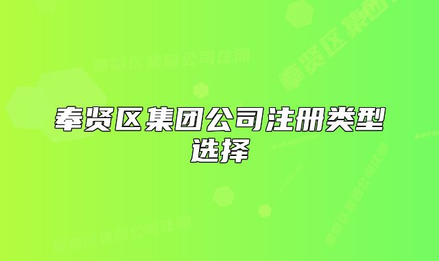 奉賢區(qū)集團(tuán)公司注冊(cè)類型選擇