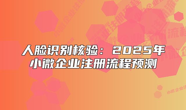 人臉識別核驗(yàn)：2025年小微企業(yè)注冊流程預(yù)測