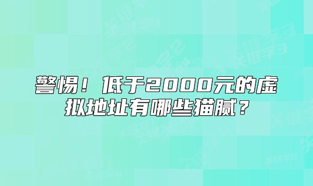 警惕！低于2000元的虛擬地址有哪些貓膩？