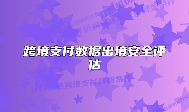 跨境支付數(shù)據(jù)出境安全評(píng)估