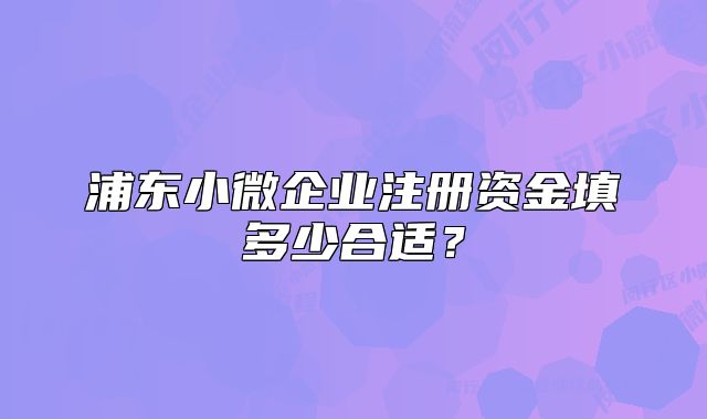 浦東小微企業(yè)注冊資金填多少合適？