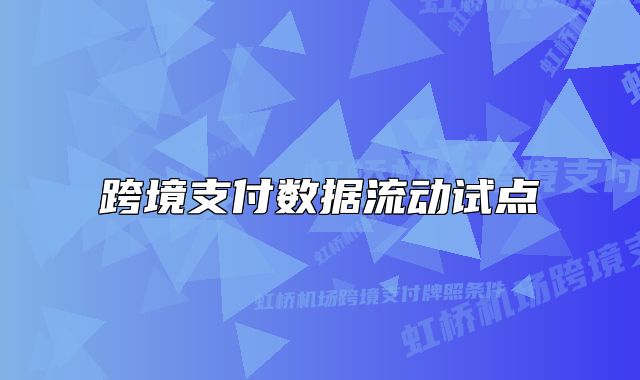 跨境支付數(shù)據(jù)流動(dòng)試點(diǎn)