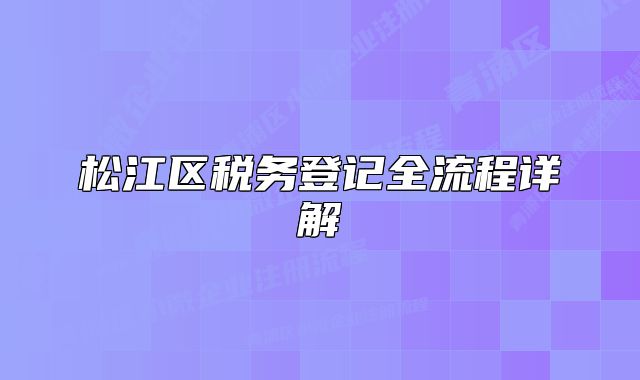 松江區(qū)稅務(wù)登記全流程詳解
