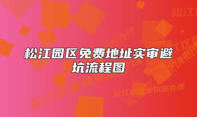 松江園區(qū)免費(fèi)地址實(shí)審避坑流程圖