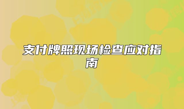 支付牌照現(xiàn)場(chǎng)檢查應(yīng)對(duì)指南