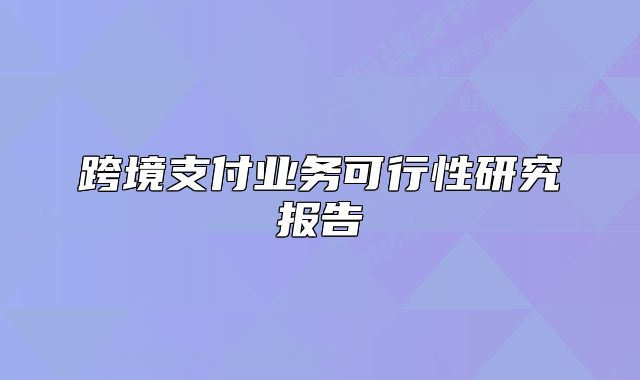跨境支付業(yè)務(wù)可行性研究報(bào)告