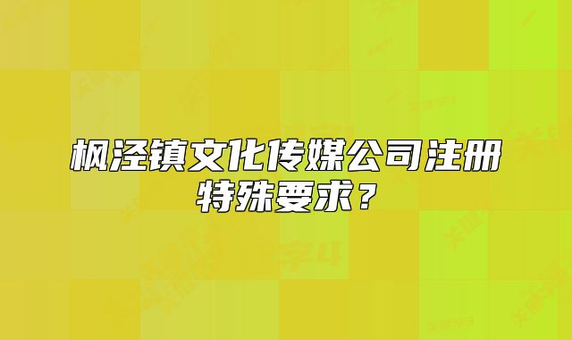 楓涇鎮(zhèn)文化傳媒公司注冊特殊要求？