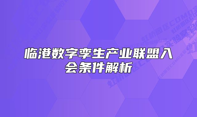 臨港數(shù)字孿生產(chǎn)業(yè)聯(lián)盟入會條件解析