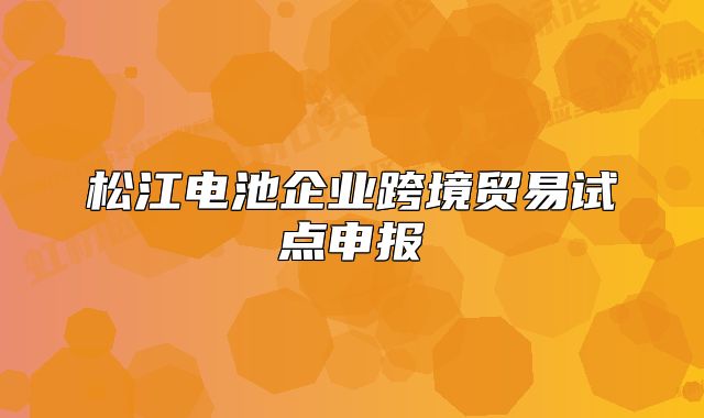 松江電池企業(yè)跨境貿(mào)易試點(diǎn)申報(bào)
