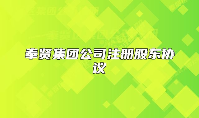 奉賢集團(tuán)公司注冊股東協(xié)議