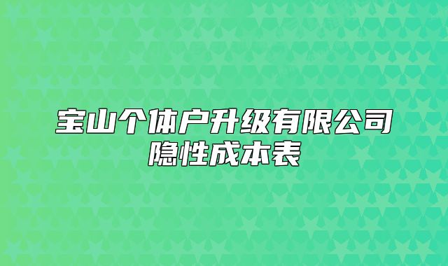 寶山個(gè)體戶升級(jí)有限公司隱性成本表