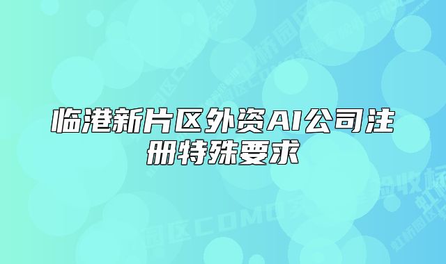 臨港新片區(qū)外資AI公司注冊(cè)特殊要求