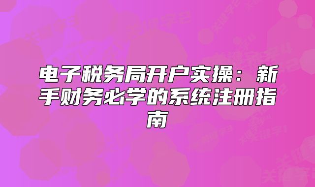 電子稅務(wù)局開戶實(shí)操：新手財務(wù)必學(xué)的系統(tǒng)注冊指南