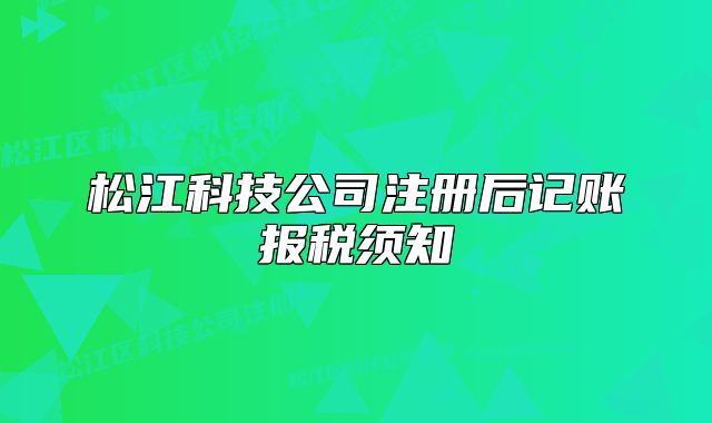 松江科技公司注冊(cè)后記賬報(bào)稅須知