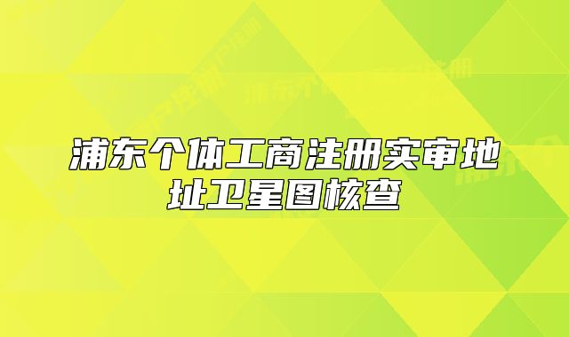 浦東個體工商注冊實審地址衛(wèi)星圖核查