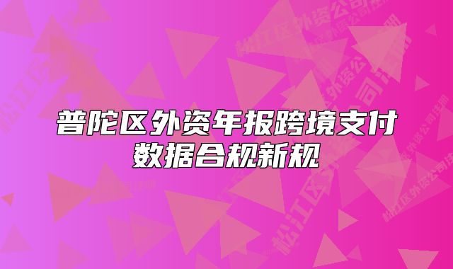 普陀區(qū)外資年報跨境支付數(shù)據(jù)合規(guī)新規(guī)
