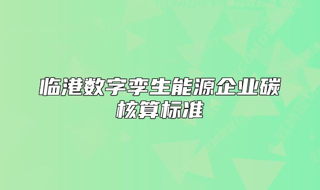 臨港數(shù)字孿生能源企業(yè)碳核算標(biāo)準(zhǔn)