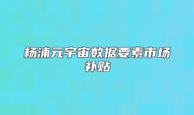 楊浦元宇宙數(shù)據(jù)要素市場(chǎng)補(bǔ)貼