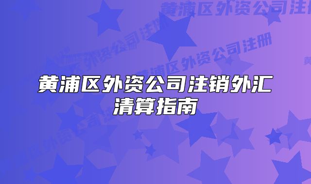 黃浦區(qū)外資公司注銷外匯清算指南
