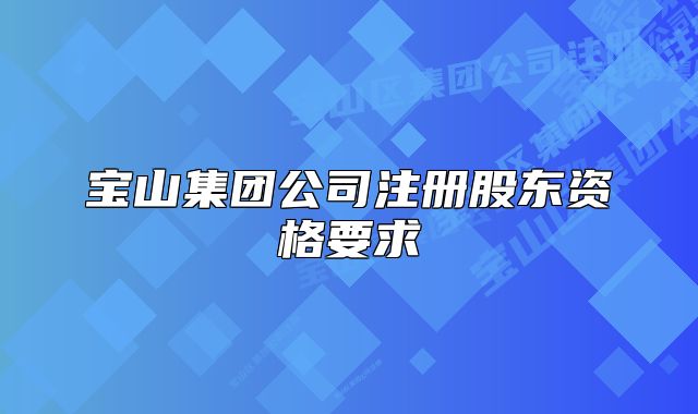寶山集團(tuán)公司注冊股東資格要求