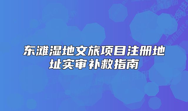 東灘濕地文旅項(xiàng)目注冊地址實(shí)審補(bǔ)救指南