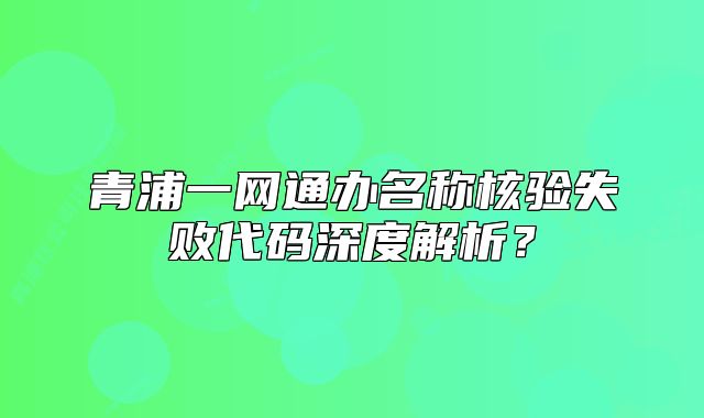 青浦一網(wǎng)通辦名稱核驗失敗代碼深度解析？