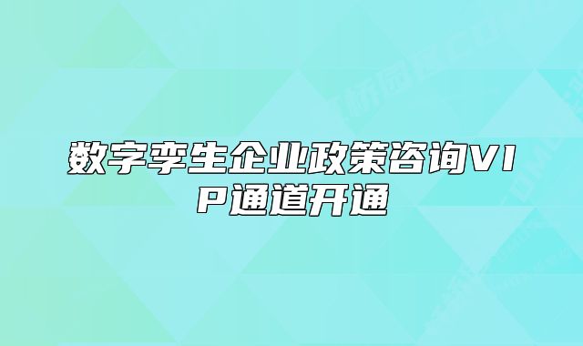 數(shù)字孿生企業(yè)政策咨詢VIP通道開通