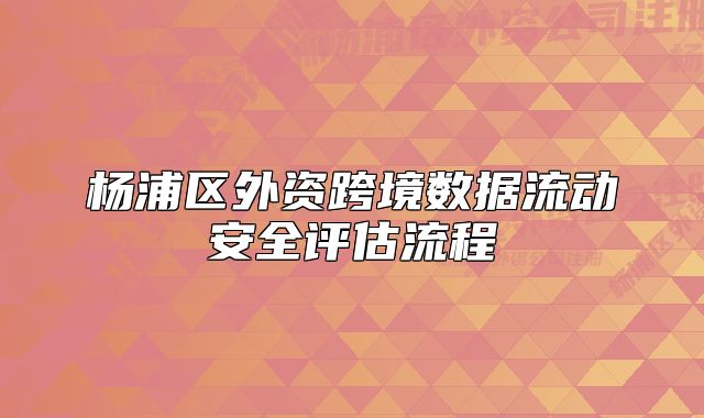 楊浦區(qū)外資跨境數(shù)據(jù)流動安全評估流程