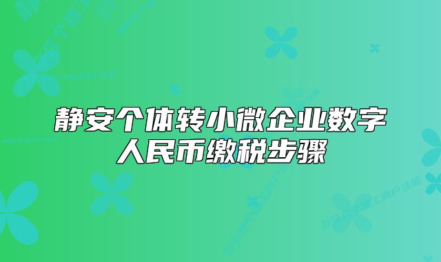 靜安個體轉(zhuǎn)小微企業(yè)數(shù)字人民幣繳稅步驟